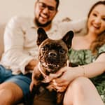 Dog-Friendly Home Safety Tips and Indoor Environment Ideas