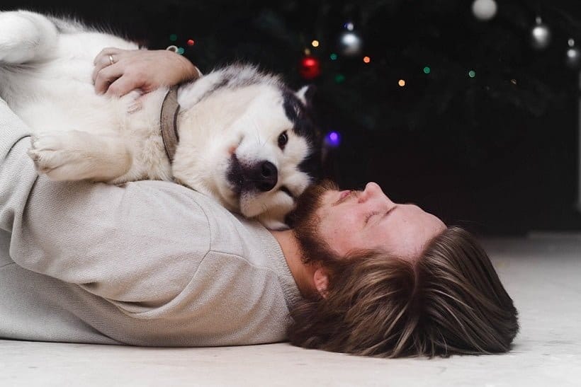 bond with your dog