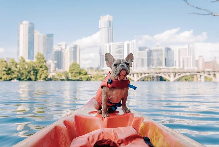 Water Safety Tips for Dogs