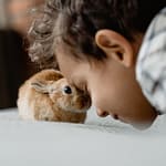 Small pets can make great companions for kids
