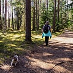 Dog-Friendly Hikes in Rochester, NY