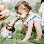 Helping Kids Interact with Cats Tips and Advice