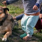 Your Dog Doesn’t Like Kids 5 Things You Can Do