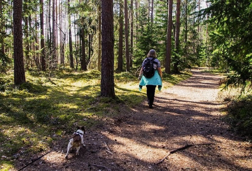 Dog-Friendly Hikes in Rochester, NY